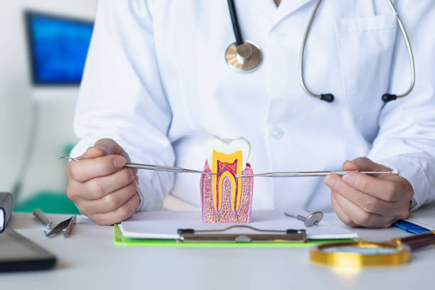 Best Broken or Cracked Tooth Emergency Dentist in Lexington, OH
